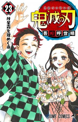 Kimetsu no yaiba Manga Español - Transición completa(112)